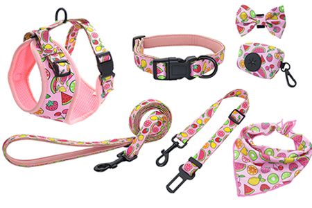 Premium pet collars manufacturer